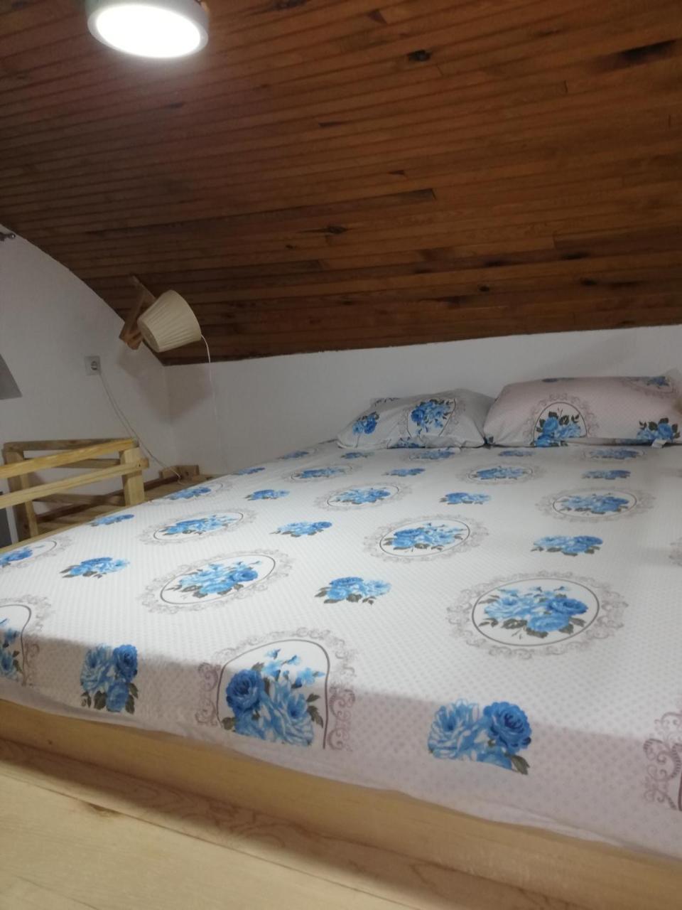 Tri Bagrema Km Appartement Mokra Gora Buitenkant foto